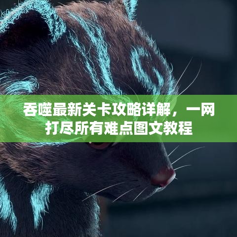 吞噬最新關(guān)卡攻略詳解，一網(wǎng)打盡所有難點(diǎn)圖文教程