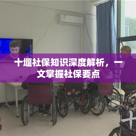 十堰社保知識(shí)深度解析，一文掌握社保要點(diǎn)