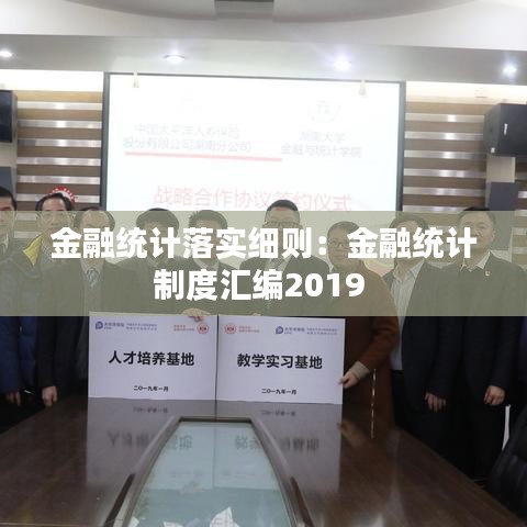 金融統(tǒng)計(jì)落實(shí)細(xì)則：金融統(tǒng)計(jì)制度匯編2019 