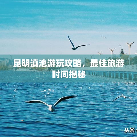 昆明滇池游玩攻略，最佳旅游時(shí)間揭秘