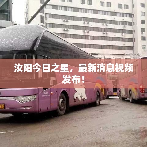 汝陽今日之星，最新消息視頻發(fā)布！
