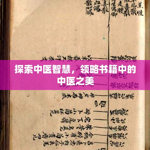 探索中醫(yī)智慧，領略書籍中的中醫(yī)之美