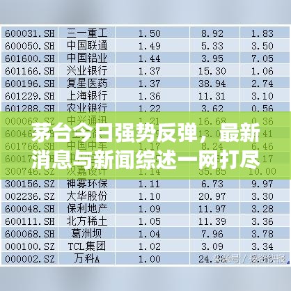 茅臺(tái)今日強(qiáng)勢(shì)反彈，最新消息與新聞綜述一網(wǎng)打盡