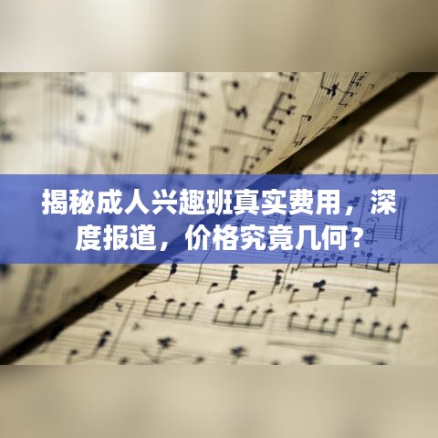 揭秘成人興趣班真實(shí)費(fèi)用，深度報(bào)道，價(jià)格究竟幾何？