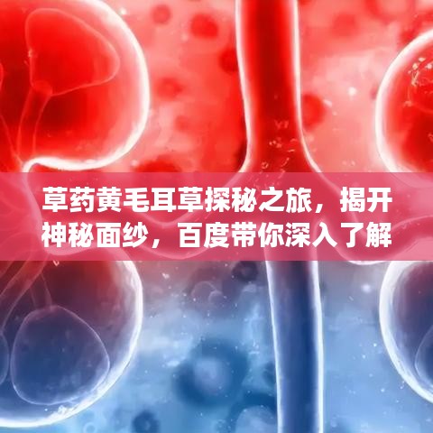 虛張聲勢 第3頁