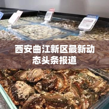 西安曲江新區(qū)最新動(dòng)態(tài)頭條報(bào)道