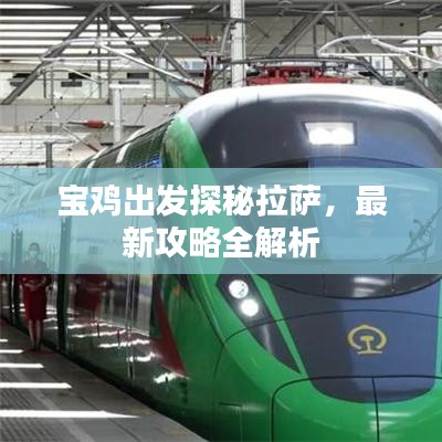 獨(dú)學(xué)寡聞 第3頁