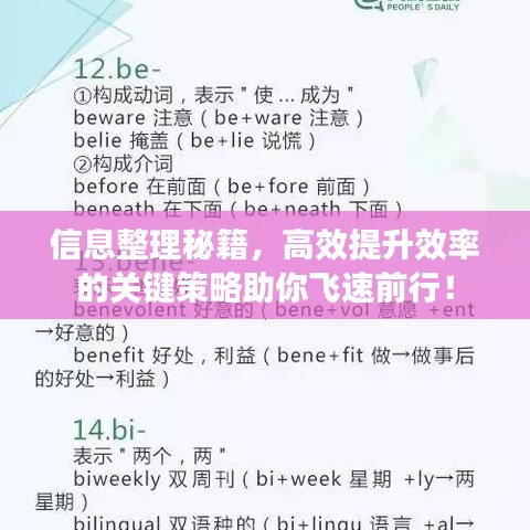 信息整理秘籍，高效提升效率的關(guān)鍵策略助你飛速前行！
