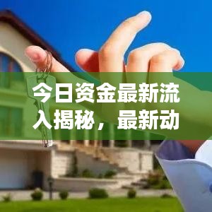 今日資金最新流入揭秘，最新動態(tài)一網(wǎng)打盡