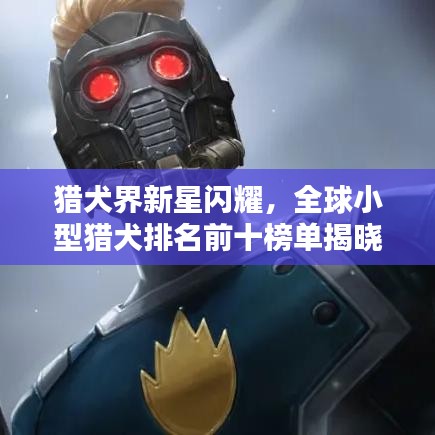 獵犬界新星閃耀，全球小型獵犬排名前十榜單揭曉！