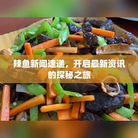 辣魚新聞速遞，開啟最新資訊的探秘之旅