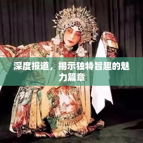 深度報(bào)道，揭示獨(dú)特旨趣的魅力篇章