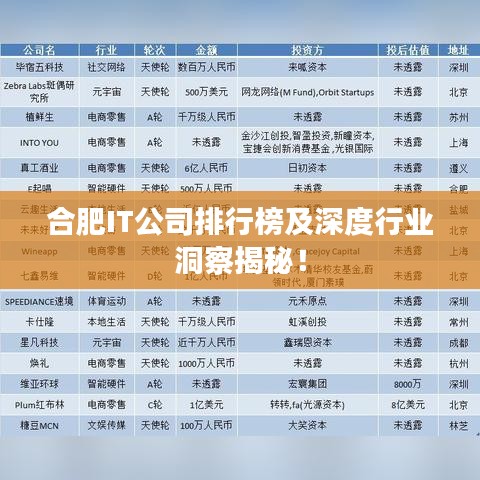 合肥IT公司排行榜及深度行業(yè)洞察揭秘！