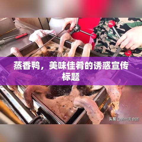 蒸香鴨，美味佳肴的誘惑宣傳標(biāo)題