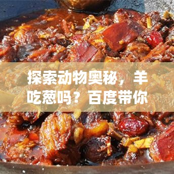 探索動(dòng)物奧秘，羊吃蔥嗎？百度帶你揭秘自然世界！