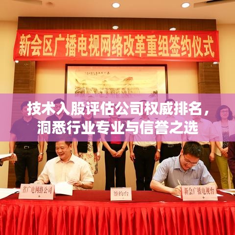 技術入股評估公司權威排名，洞悉行業(yè)專業(yè)與信譽之選