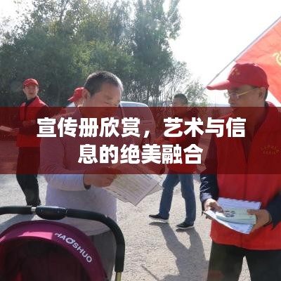 宣傳冊欣賞，藝術(shù)與信息的絕美融合