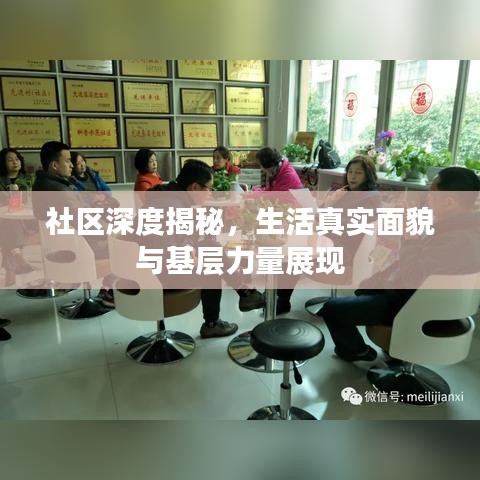 社區(qū)深度揭秘，生活真實面貌與基層力量展現(xiàn)