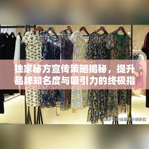 獨家秘方宣傳策略揭秘，提升品牌知名度與吸引力的終極指南