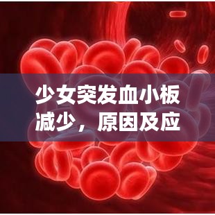 少女突發(fā)血小板減少，原因及應(yīng)對方法解析
