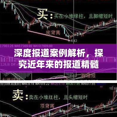 深度報(bào)道案例解析，探究近年來(lái)的報(bào)道精髓