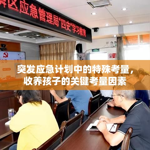 突發(fā)應(yīng)急計(jì)劃中的特殊考量，收養(yǎng)孩子的關(guān)鍵考量因素