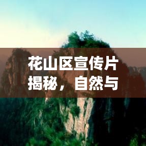 花山區(qū)宣傳片揭秘，自然與人文的絕美交融