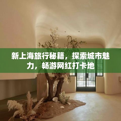新上海旅行秘籍，探索城市魅力，暢游網(wǎng)紅打卡地