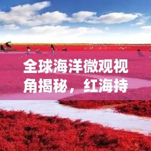 全球海洋微觀視角揭秘，紅海持續(xù)擴(kuò)張的神秘力量
