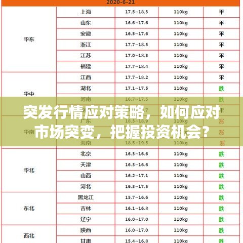 突發(fā)行情應(yīng)對策略，如何應(yīng)對市場突變，把握投資機會？
