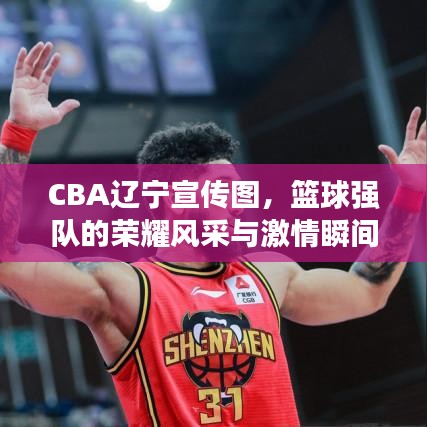 CBA遼寧宣傳圖，籃球強(qiáng)隊(duì)的榮耀風(fēng)采與激情瞬間