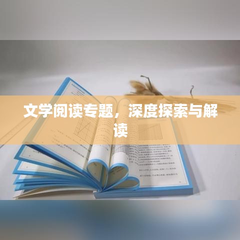 文學(xué)閱讀專(zhuān)題，深度探索與解讀