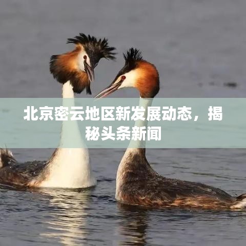 全始全終 第3頁