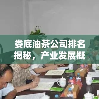 婁底油茶公司排名揭秘，產(chǎn)業(yè)發(fā)展概覽