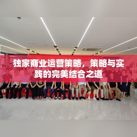 獨家商業(yè)運營策略，策略與實踐的完美結合之道