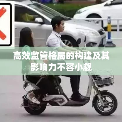 飛揚(yáng)撥扈 第3頁