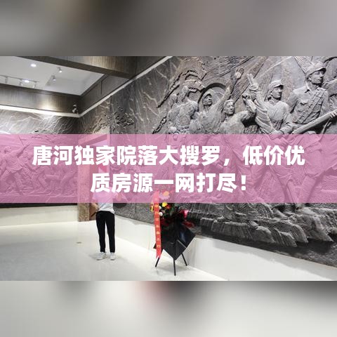 唐河獨(dú)家院落大搜羅，低價(jià)優(yōu)質(zhì)房源一網(wǎng)打盡！
