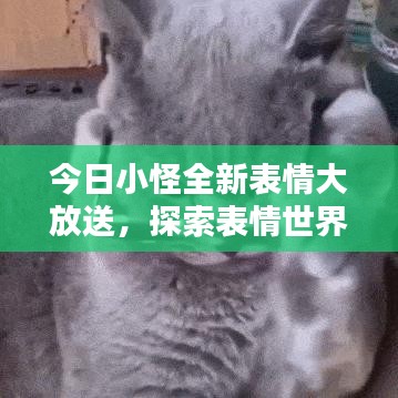 去就之分 第2頁(yè)
