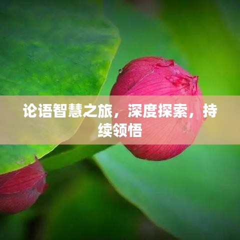 篤實(shí)好學(xué) 第2頁(yè)