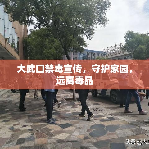 大武口禁毒宣傳，守護家園，遠離毒品