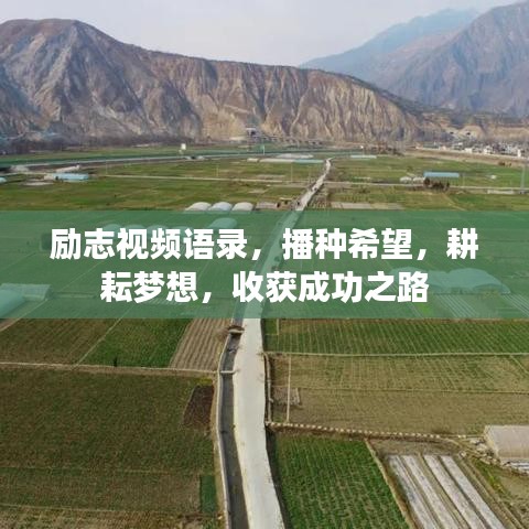 勵(lì)志視頻語錄，播種希望，耕耘夢(mèng)想，收獲成功之路