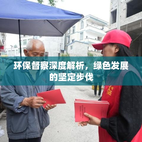 環(huán)保督察深度解析，綠色發(fā)展的堅(jiān)定步伐