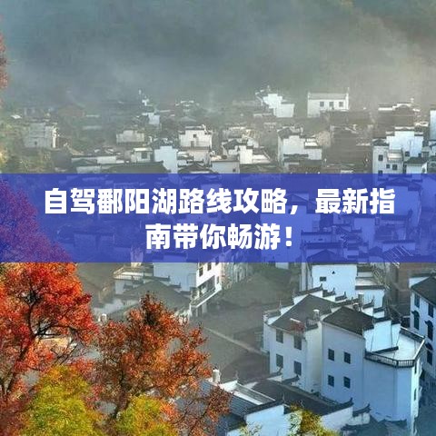 自駕鄱陽湖路線攻略，最新指南帶你暢游！