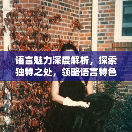 語言魅力深度解析，探索獨特之處，領(lǐng)略語言特色專題的魅力