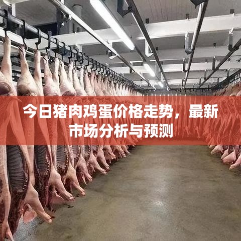 今日豬肉雞蛋價格走勢，最新市場分析與預(yù)測