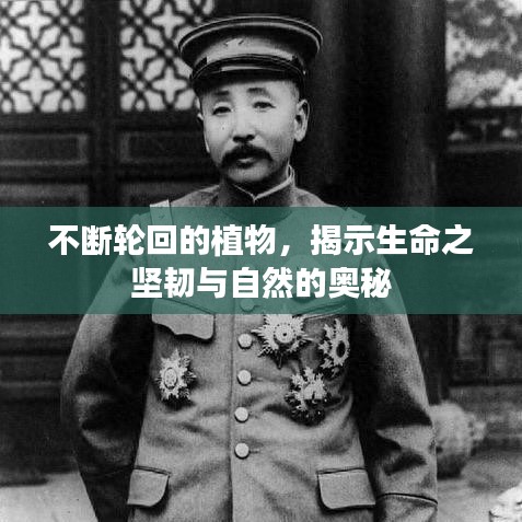 不斷輪回的植物，揭示生命之堅(jiān)韌與自然的奧秘