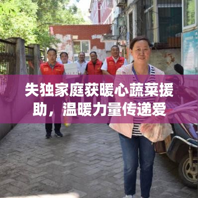 失獨家庭獲暖心蔬菜援助，溫暖力量傳遞愛