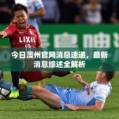 今日澳州官網(wǎng)消息速遞，最新消息綜述全解析