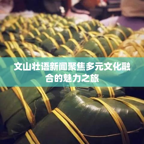 文山壯語(yǔ)新聞聚焦多元文化融合的魅力之旅