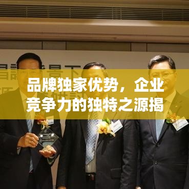 品牌獨(dú)家優(yōu)勢，企業(yè)競爭力的獨(dú)特之源揭秘